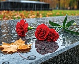 Влияние климатических факторов на памятники